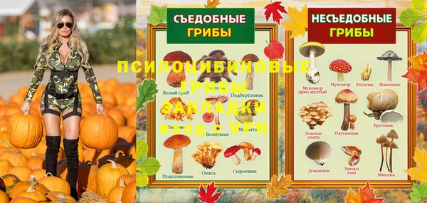 ALPHA PVP Кодинск