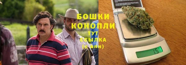 СК Козловка