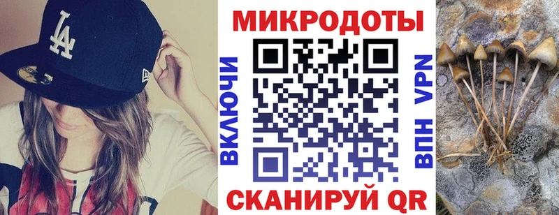 Купить  Мурино  Галлюциногенные грибы Psilocybine cubensis 